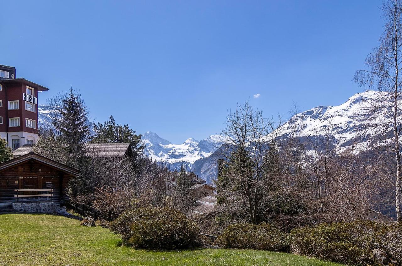 Chalet Steingaertli 1 Венген Экстерьер фото